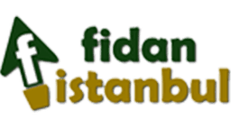 Fidan İstanbul logo