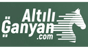 AltılıGanyan.com logo