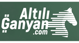 AltılıGanyan.com logo