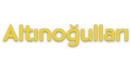 Altınoğulları Gıda logo