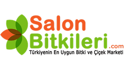 Salonbitkileri.com logo