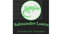 Salmander logo
