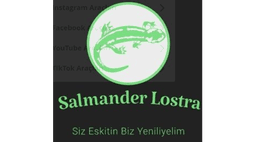 Salmander logo