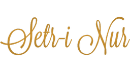 Setri Nur logo