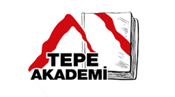 Tepe Akademi logo