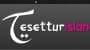 Tesettür Island logo