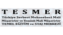 Tesmer logo
