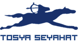 Tosya Seyahat logo