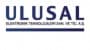 Ulusal Elektronik logo