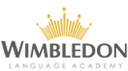 Wimbledon Academy logo