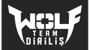 Wolfteam2013 logo