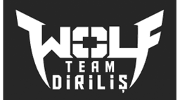 Wolfteam2013 logo