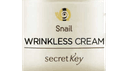 Wrinklessscreamm.com.tr logo