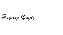 Zeynep Çeyiz logo