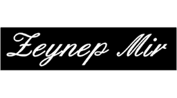 Zeynep Mir Beauty logo