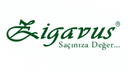 Zigavus logo