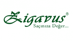 Zigavus logo