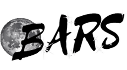 Bars Depo logo