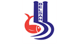 Belsan logo