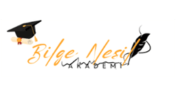 Bilge Nesil Akademi logo