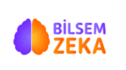 Bilsem Zeka logo