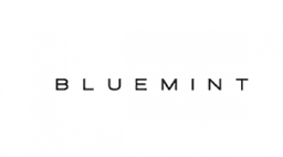 Bluemint logo