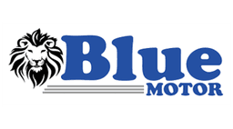 Blue Motor logo