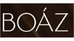 Boaz logo