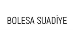Bolesa Suadiye logo