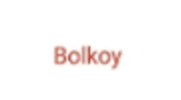Bolkoy logo