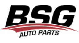 BSG Auto Parts logo