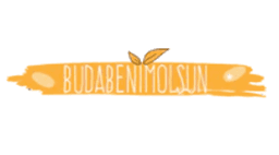 Budabenimolsun.com logo