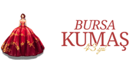 Bursakumasi.com logo