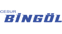 Cesur Bingöl Turizm logo