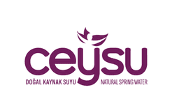 Ceysu logo