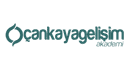 Çankaya Gelişim Akademi logo