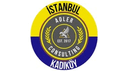 Adler Danışmanlık logo