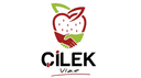 Çilek Vize Danışmanlık logo