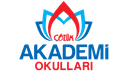 Çözüm Akademi Okulları logo