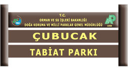 Çubucak Orman Kampı logo