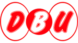 Dürümcü Bedir Usta logo