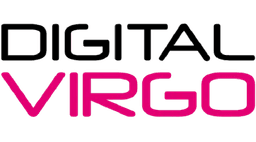 Dv Turkey logo