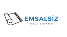 Emsalsiz Halı Yıkama logo