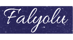 Falyolu.com logo