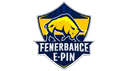 Fenerbahçe Epin logo
