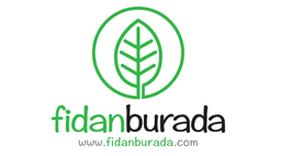FidanBurada logo