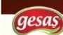 Gesaş Gıda logo