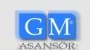 Gm Asansör logo