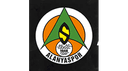 Alanyaspor logo
