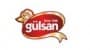Gülsan Gıda logo